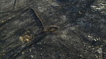 Contención, mejoras y realojos: tregua en los incendios de Castilla y León y Galicia