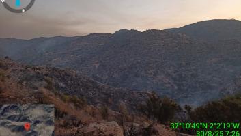 Avanzan los trabajos de extinción en León, Guadalajara y Galicia, mientras que preocupa la situación en Almería