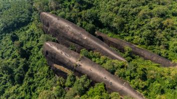 Estupefacción por las ballenas de piedra que nadan en el bosque: solo las más grandes están abiertas al público