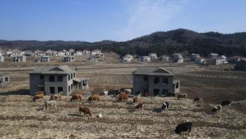 La inquietante ciudad abandonada de 202 millones de euros con 100 mansiones vacías y ocupada por animales de granja
