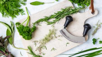 A la albahaca, el romero y el orégano les sale un digno competidor por su sabor distintivo un tanto picante