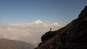 Los expertos colocan 136 cámaras trampa en el Himalaya para fotografiar a una especie esquiva: por fin se publica una foto del animal