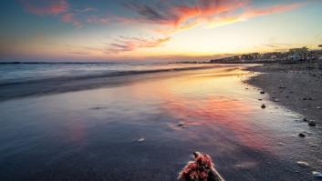 Lleva a su abuela centenaria a nadar al mar como último deseo: "Disfrutó de una ligereza en las piernas que llevaba mucho sin sentir"