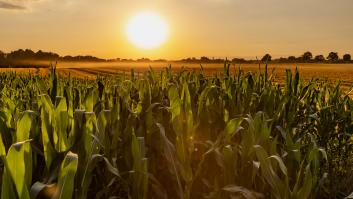 Demolerán su casa, granja y sustento para construir una autopista y dan con un plan B de última hora: "Desplacen la ruta unos metros"