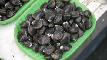 Se activa el plan para combatir la especie invasora asiática que causa estragos en este río español