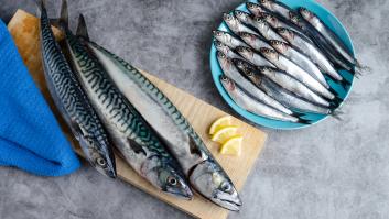 Ana Luzón, técnica en nutrición, destaca cuáles son los mejores alimentos para la vista