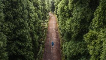 Ni en la ciudad ni en el gimnasio: un nuevo estudio declara que este es el mejor lugar para hacer ejercicio