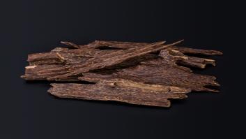 Un trozo de madera de este árbol se paga a precio de piedras preciosas siempre que se infecta por un hongo