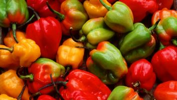 La verdura que obliga a los trabajadores a usar guantes, gafas protectoras y máscaras: "No es para jugar"