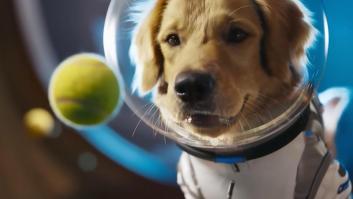 OpenAI lanza Sora 2: la fundadora de ChatGPT presenta su propio TikTok basado en inteligencia artificial