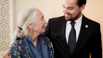 "Eres mi heroína": la emotiva despedida de Leonardo Dicaprio a su "querida amiga" Jane Goodall