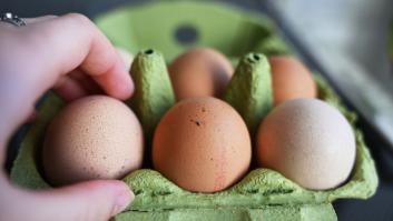 ¿Puedo seguir comiendo huevos y tortilla de forma segura ante la expansión de gripe aviar?