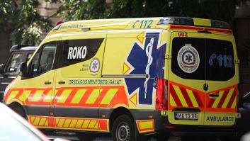 Una señora se cae en la calle y la lealtad de su perro es tal que los sanitarios no logran sacarlo de la ambulancia