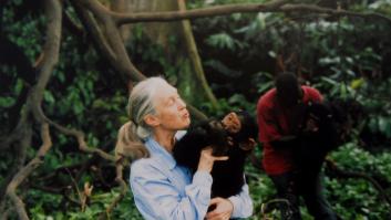 Netflix libera lo "nunca revelado" por Jane Goodall en una conmovedora entrevista póstuma