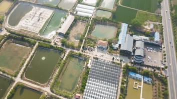 En Reino Unido destacan el pez robot español cargado con sensores para impulsar la sostenibilidad en las piscifactorías