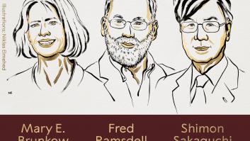 Mary E. Brunkow, Fred Ramsdell y Shimon Sakaguchi, Nobel de Medicina 2025 por sus hallazgos en la tolerancia inmunitaria periférica