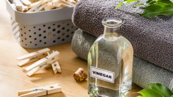 La gente está rociando su jardín con vinagre para repeler a un intruso otoñal