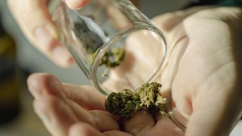 El porrón de cosas que tienes que saber sobre el nuevo uso medicinal del cannabis en España