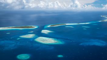 Una isla paradisiaca ejecuta su plan para liberarse de las ratas invasoras: "El suelo del bosque parecía moverse"