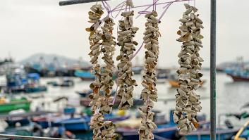 Una fruta popular en España puede valer 18.000 euros y su cáscara se tira sin saber que es oro