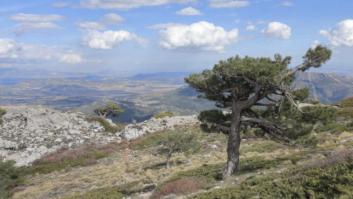 El pueblo de Andalucía que sobresale porque la mayoría de sus vecinos tienen apellidos navarros