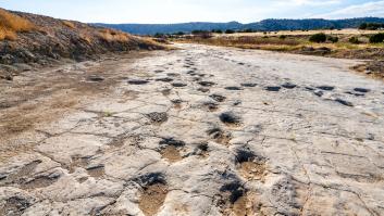 Científicos dan con una de las huellas más largas jamás dejadas por un dinosaurio y creen saber el ejemplar