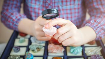 Dedica más de 48 años en crear la colección privada más grande de su tipo en el país y vende todo su esfuerzo por casi 50.000 euros