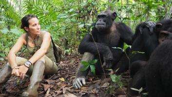 Los expertos en ecología confirman que la naturaleza está perdiendo su capacidad de autorepararse: la rotación de especies ha caído un tercio desde los años 70 en medio millón de localizaciones