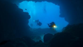 Descubren en el fondo del Mediterráneo un extraño tesoro natural conocido como "las selvas tropicales del mar"