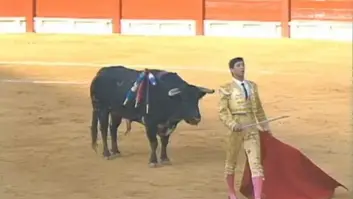 Una corrida de toros de 1997 con un torero de Vox pero no la marcha por la dana: exigen la dimisión de la dirección de la cadena pública valenciana À Punt