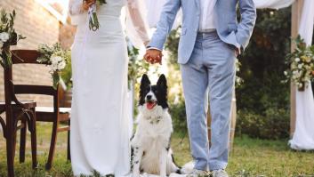 Una pareja se casa en un refugio de animales: la factura veterinaria de 2280 euros fue solo el comienzo