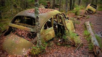 Compra 50 coches de los años 50 y los deja abandonados en un bosque: debaten si es un visionario o un "loco a atar"