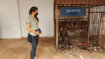 El rescate más impactante de Rebeca Atencia, la veterinaria gallega que salva animales salvajes por todo el mundo