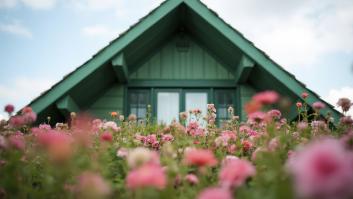 Un matrimonio compra la casa de sus sueños y sus planes se truncan por un campo de flores: "Es evidente que pueden tener efectos"