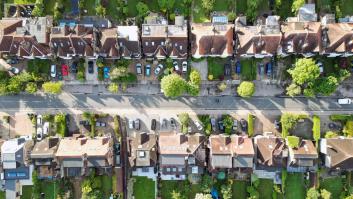 La plaga de insectos devora frutos y árboles y deciden combatir la invasión desatando a su enemigo natural