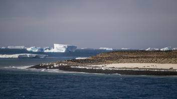 Sumergen un robot en el árido lecho marino antártico en busca de un barco legendario y descubren algo inesperado