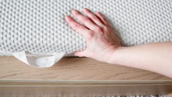 Una solución casera promete acabar con las chinches que buscan el calor de tu hogar para pasar el invierno