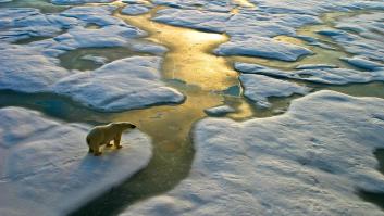 Luz verde al plan de reconstruir una parte clave del Ártico con polvo cósmico