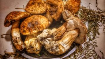 La seta con olor a perfume que deja atónicos a los chefs: se vendieron ocho por casi 4.300 euros