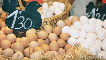 ¿Qué está pasando con el precio de los huevos en España? Spoiler: la culpa no es solo de la gripe aviar
