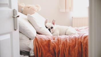 Si dejas la puerta de tu habitación abierta por la noche, la psicología dice que tienes estos rasgos de personalidad