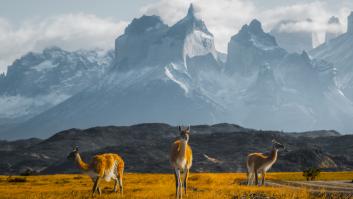 Los científicos resuelven el misterio de las 76 extrañas estructuras de piedra aparecidas en los Andes