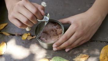 Blanca García-Orea, nutricionista, sobre la diferencia entre el atún y el atún claro: "Cuanto mayor tamaño, más cantidad de mercurio"