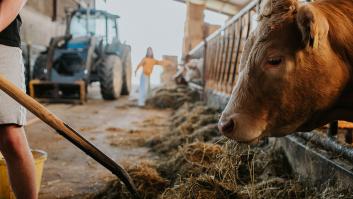 Sebastián dice 'basta' a la albañilería y el joven va al campo: "En obra ganas 1.500 euros, en el campo 2.500 sin ser tan duro"