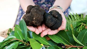 Raquel, 47 años, se va a Peñafiel a montar el gran negocio de las trufas: "El kilo vale unos 1.000 euros"