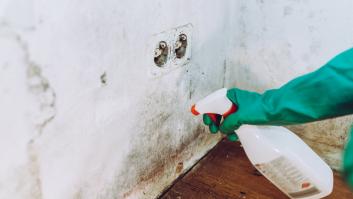Un experto echa por tierra el mito del moho y la "pared que respira": "Si un muro deja pasar aire, su estructura es inestable"