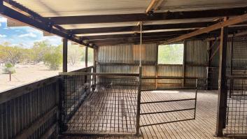 Fleur, 26 años, vive en un cobertizo de ovejas restaurado por sus padres: "Tengo mi privacidad y puedo ahorrar"