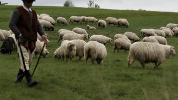 Rubén, 42 años, abandonó su plan inicial para hacerse pastor en Valladolid: "Sí que se puede vivir de la ganadería"