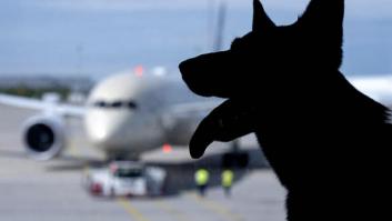 9 destinos que son un paraíso para ir con mascota