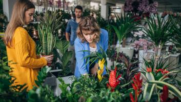 José González, experto en plantas, a todos los que van a comprarlas en viveros: "Desconfía de las que son muy grandes y tienen una maceta pequeña"
